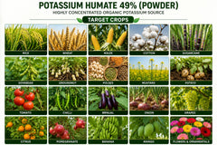 KrishiSathi Root Spark | Potassium Humate 49% Powder