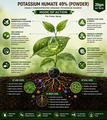 KrishiSathi Root Spark | Potassium Humate 49% Powder