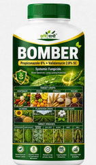 BOMBER