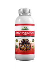 DHURANDER 505