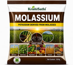 MOLASSIUM