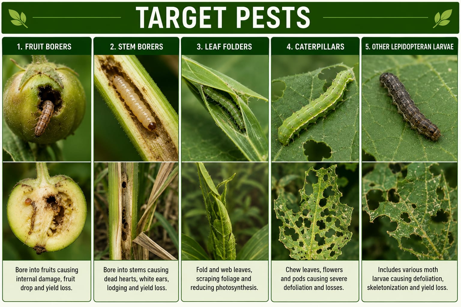KrishiSathi TEZMAR Insecticide