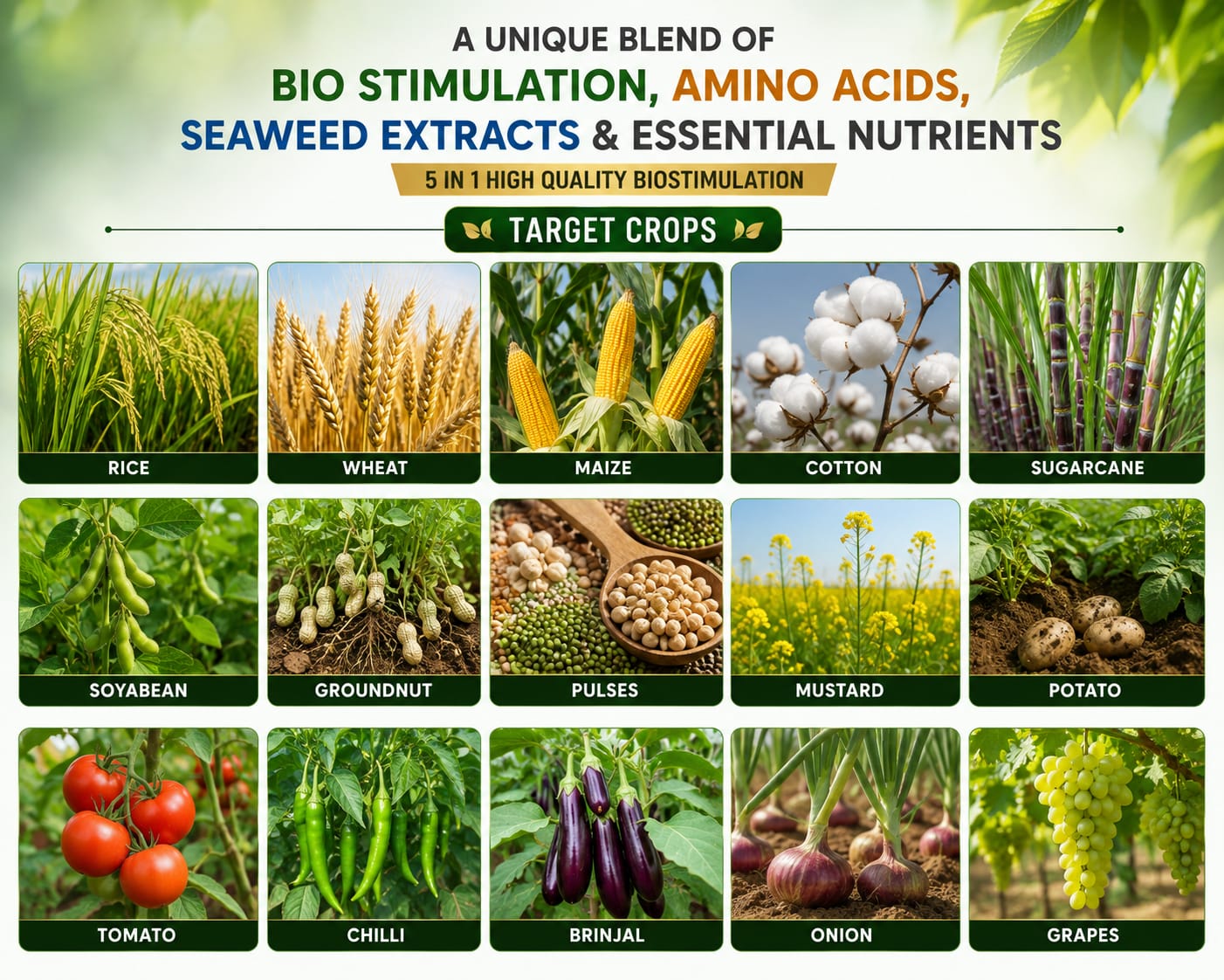 KrishiSathi BOMBER Bio Stimulation Crop Growth Enhancer