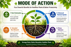 KrishiSathi Rooticamax Mycorrhizal Bio Fertiliser