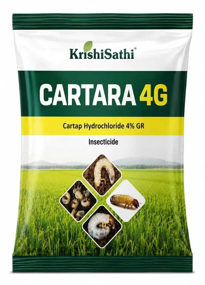 CARTARA 4G